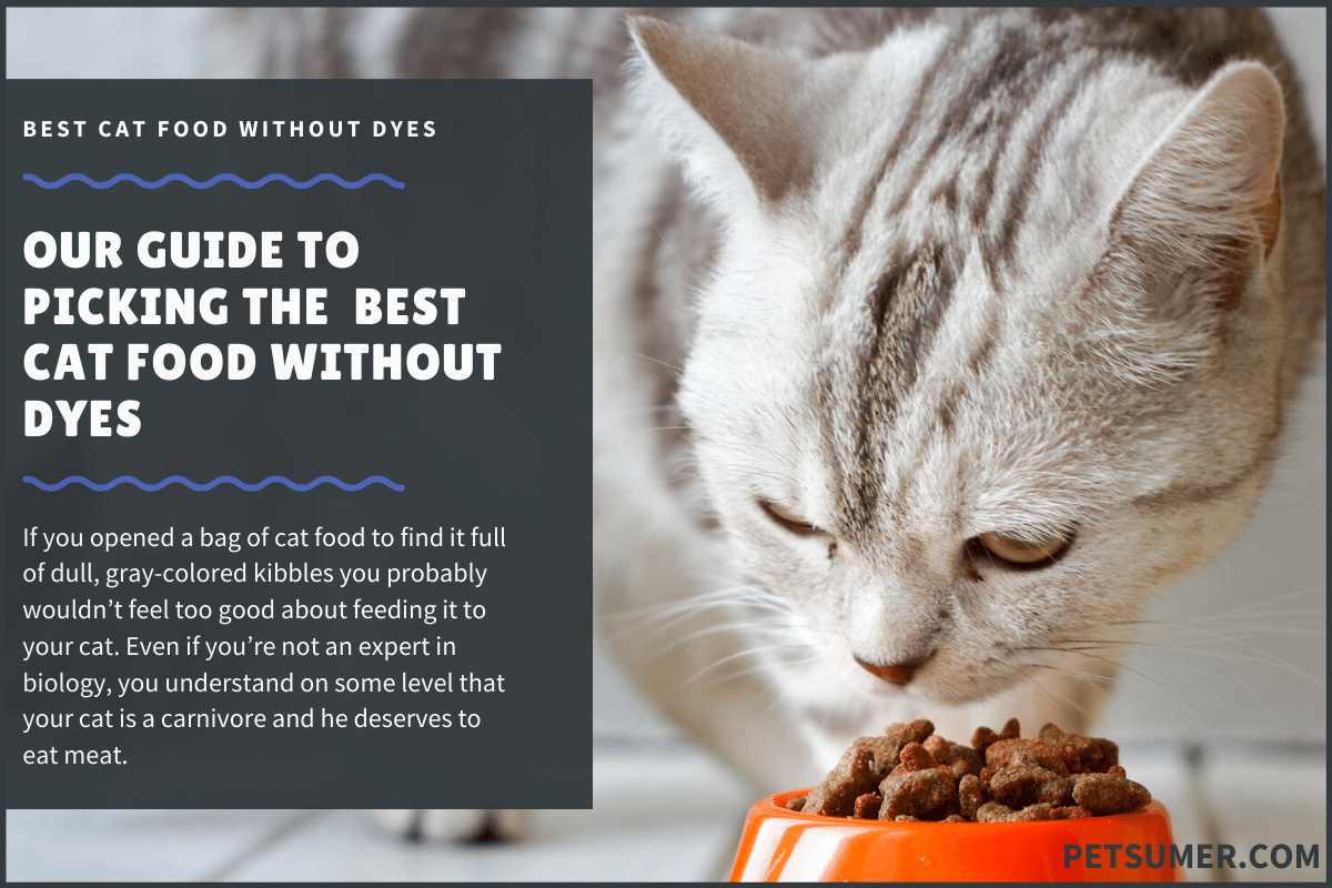 10 Best Cat Food Without Dyes in 2020