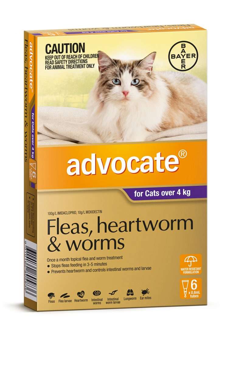 Advocate Flea And Worming Spot On Large Cat 4kg+