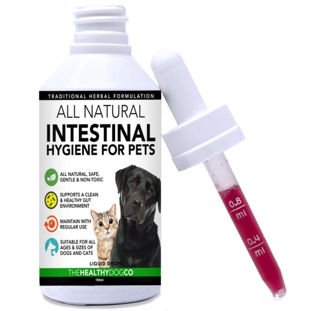 All Natural Worming Treatment for Dogs and Cats