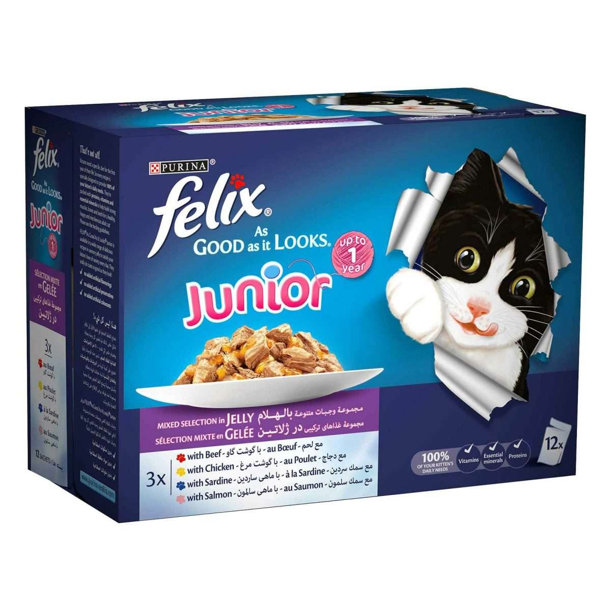 Buy Purina Felix Junior Mixed Selection Wet Cat Food 100g x Pack of 12 ...