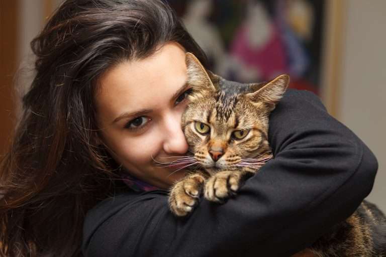 Cat Allergy: Diagnosis, Signs and Symptoms and Treatment
