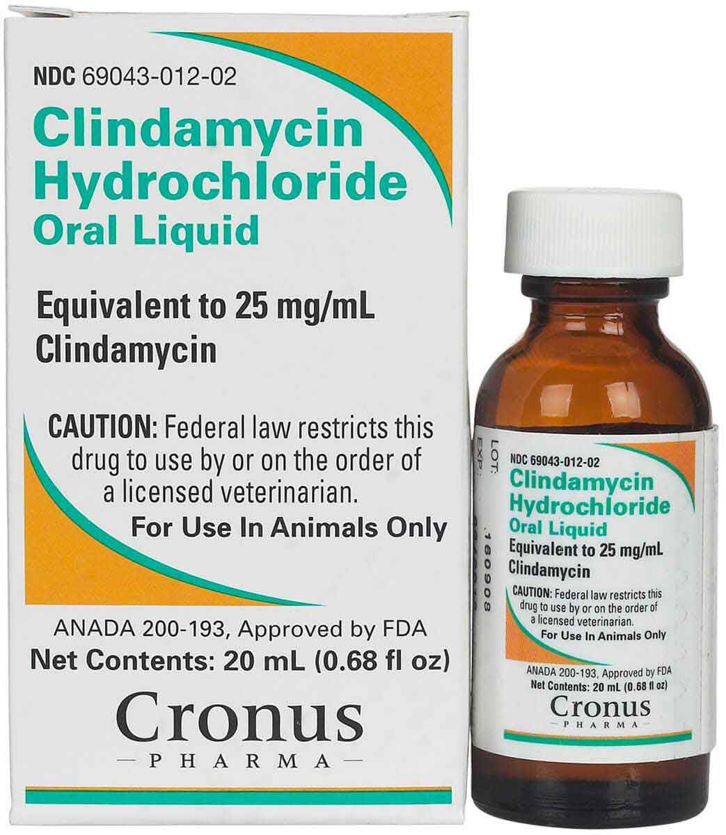 Clindamycin Hydrochloride for Dogs Cats Generic (brand may ...