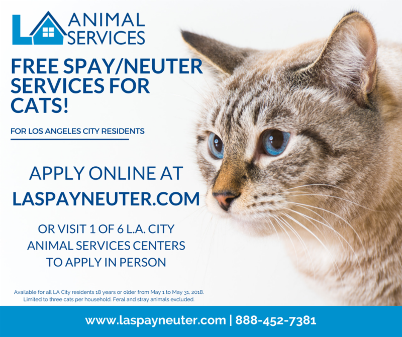 Free Spay/Neuter Cats in May