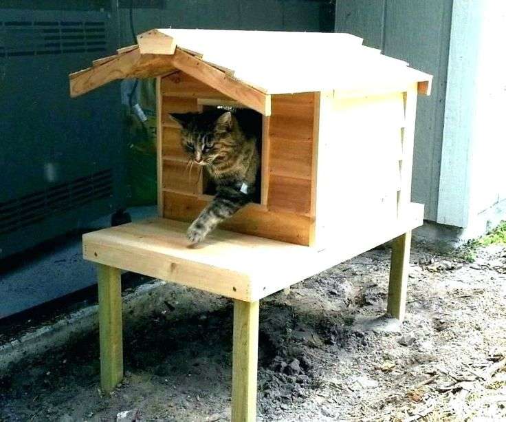 how to build an outdoor cat house s insulated outdoor cat house plans ...
