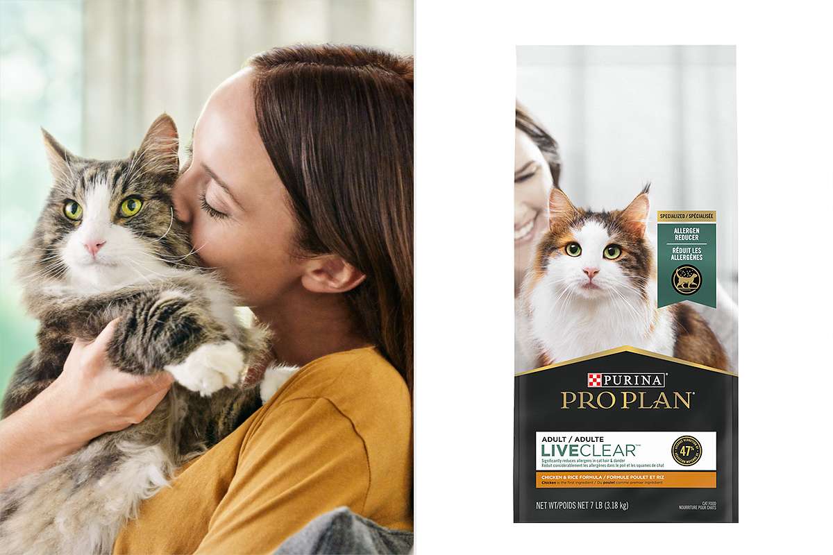 Purina Pro Plan Releasing Cat Food for Cat Allergies in Humans
