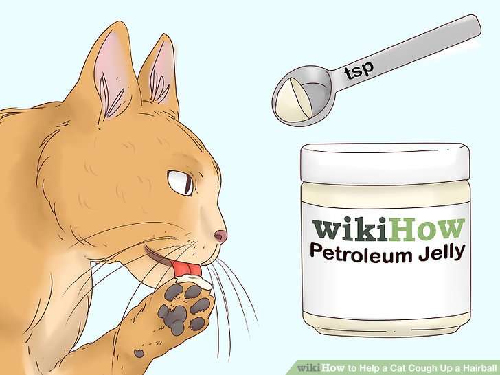 5 Ways to Help a Cat Cough Up a Hairball
