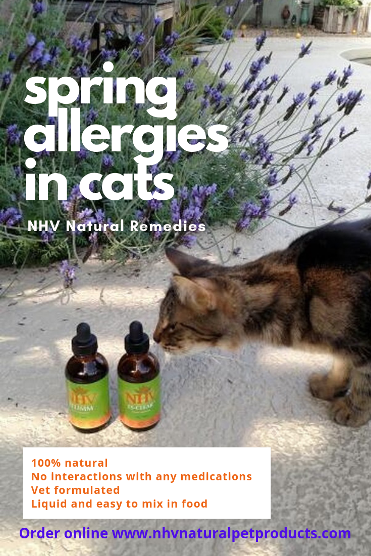 A safe and fast acting herbal supplement that helps your cat fight ...