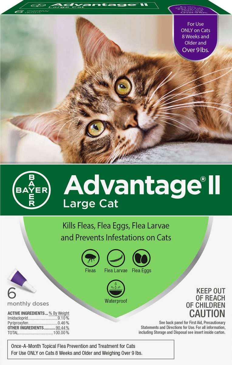 ADVANTAGE II Flea Treatment for Large Cats Over 9 lbs (Free Shipping ...