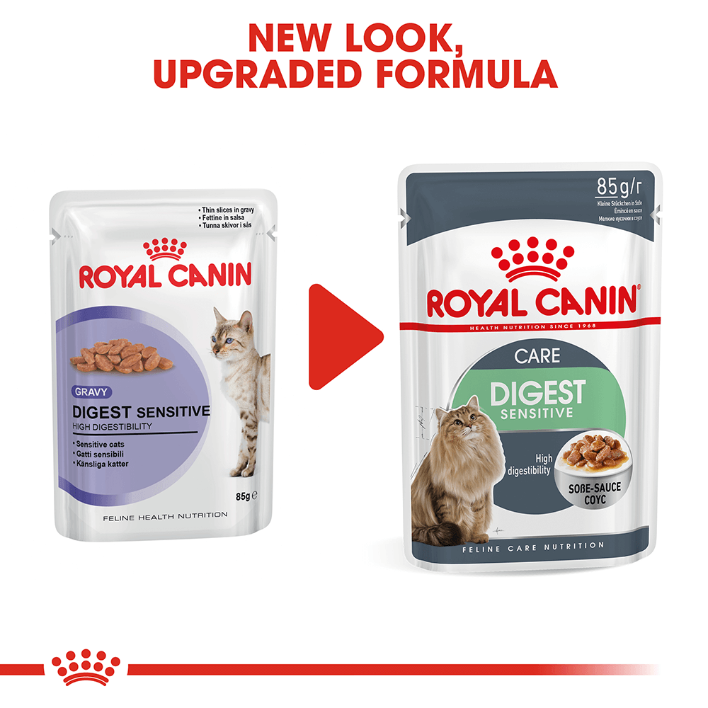 Buy Royal Canin Digest Sensitive Gravy Wet Cat Food Pouches Online ...