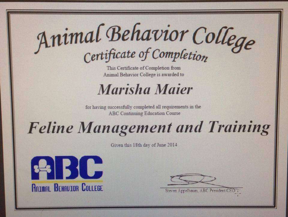 Discover Pet Training, LLC