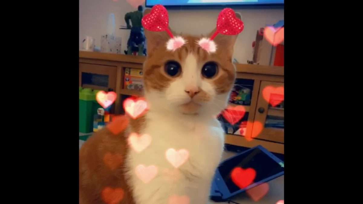 Snapchat Cat Filters for Valentines Day