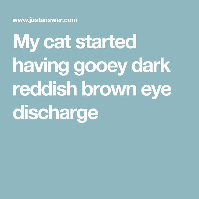 My cat started having gooey dark reddish brown eye discharge