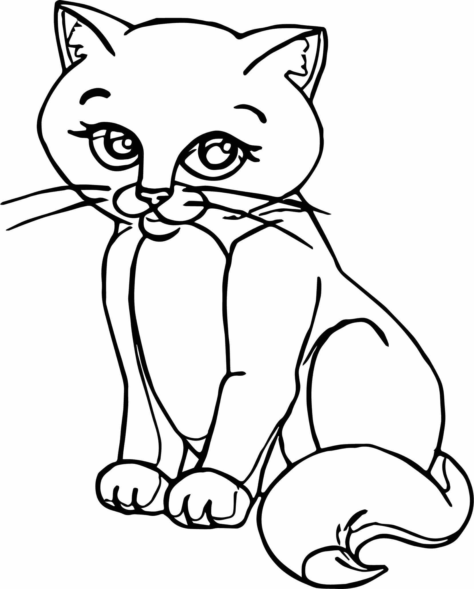 Persian Cat Coloring Pages at GetColorings.com