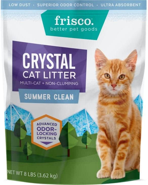 10 Best Cat Litter That Doesnt Stick To Paws In [2021]