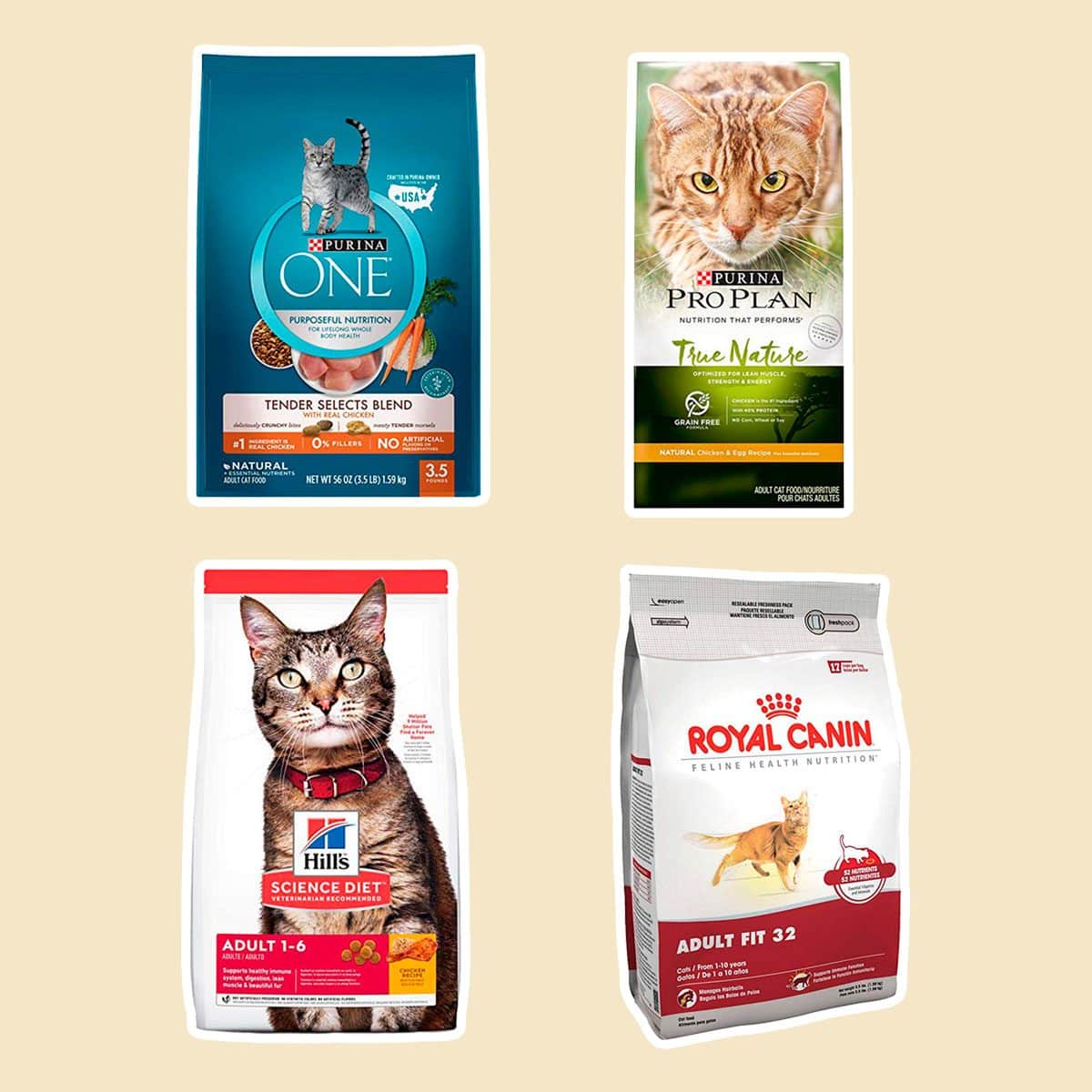 11 Best Dry Foods for Cats, According to Vets