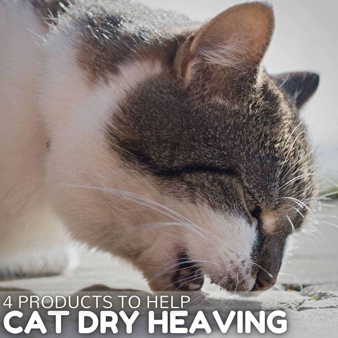 4 Products to Help Stop a Cat Dry Heaving