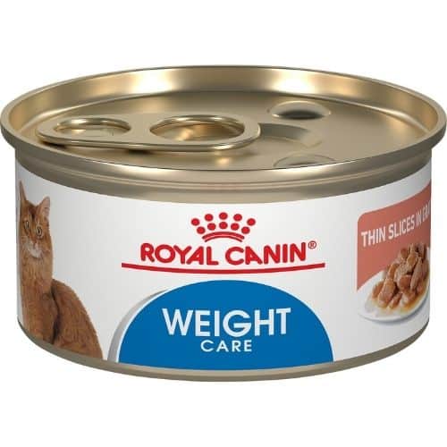 5 Best Wet Cat Foods For Weight Loss
