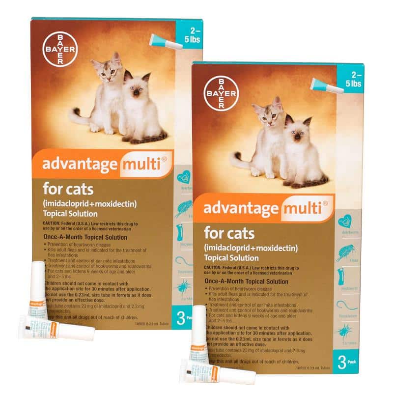 Advtanage Multi for Cats &  Kittens