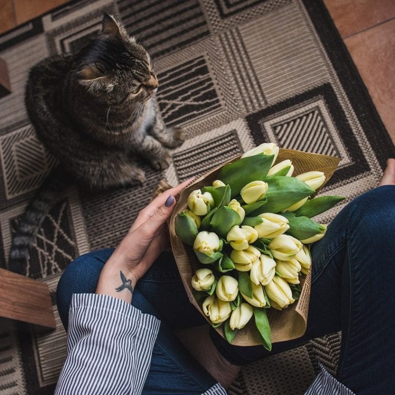 Are Tulips Toxic to Cats? What You Need to Know!