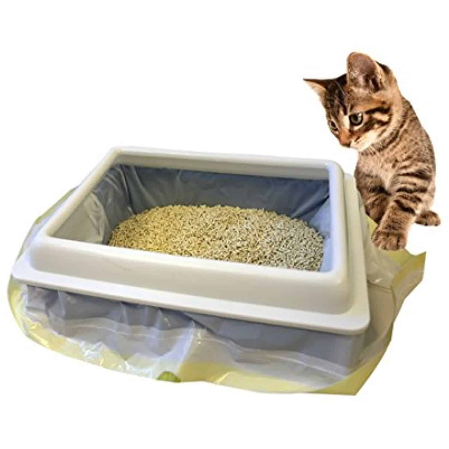 Cat Pooping Outside Litter Box Diarrhea