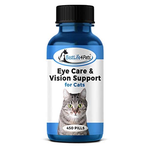Eye Care and Vision Support for Cats