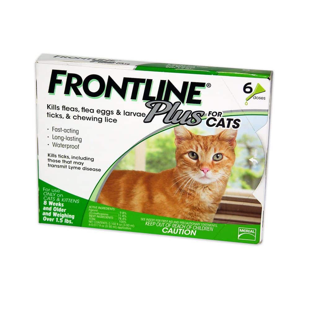 Frontline Plus Flea and Tick Control for Cats and Kittens, 6 Doses ...