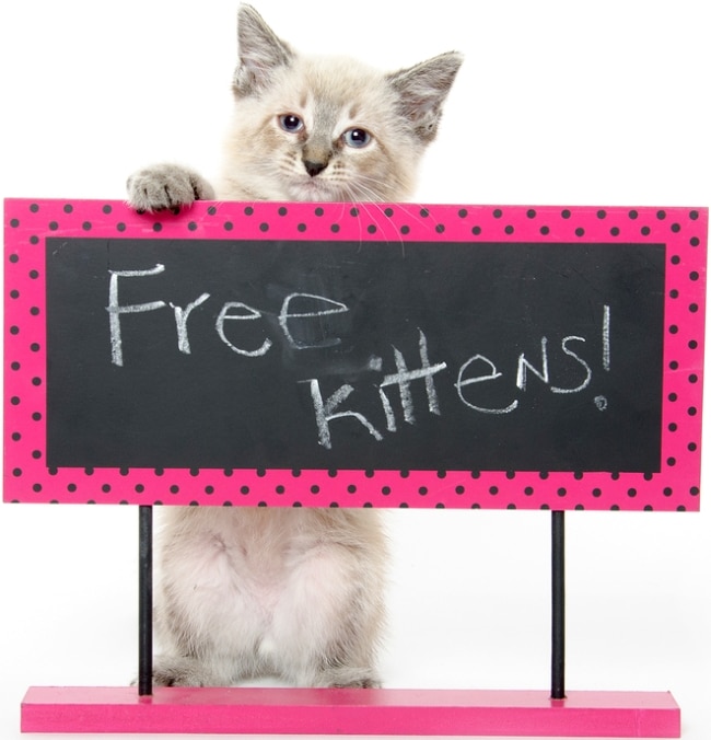 Giving Pets Away For Free?