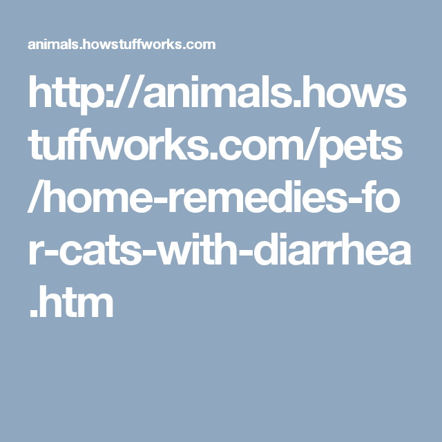 Home Remedies for Cats with Diarrhea