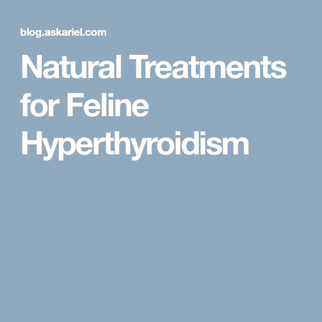 Natural Treatments for Feline Hyperthyroidism