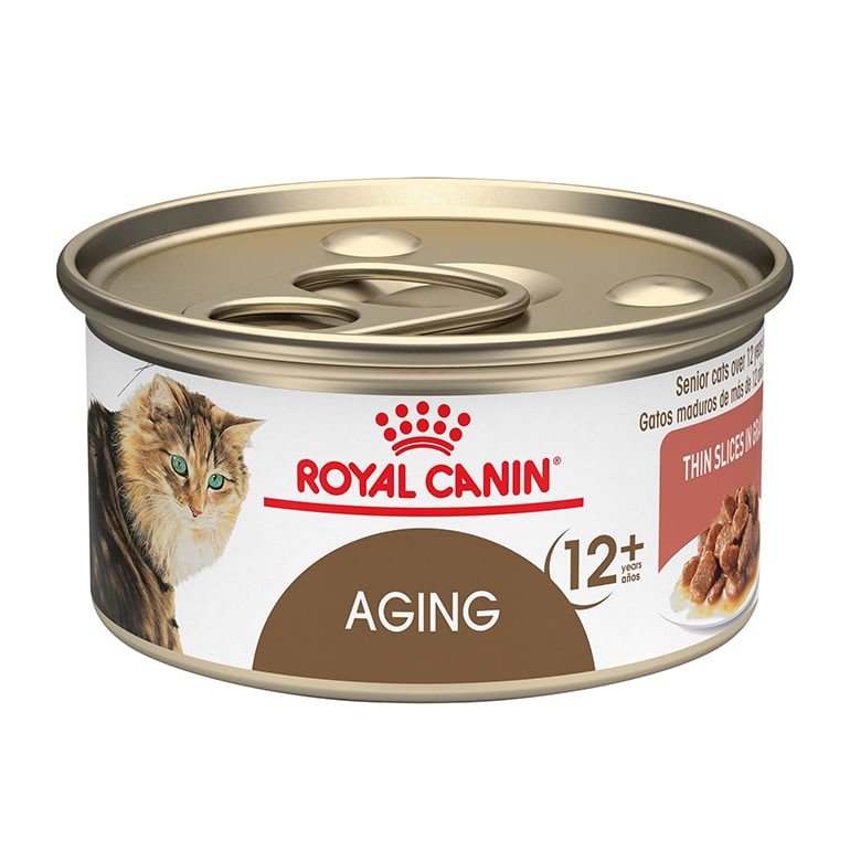 The Best Senior Cat Food: A Guide to Feeding Your Older Cat