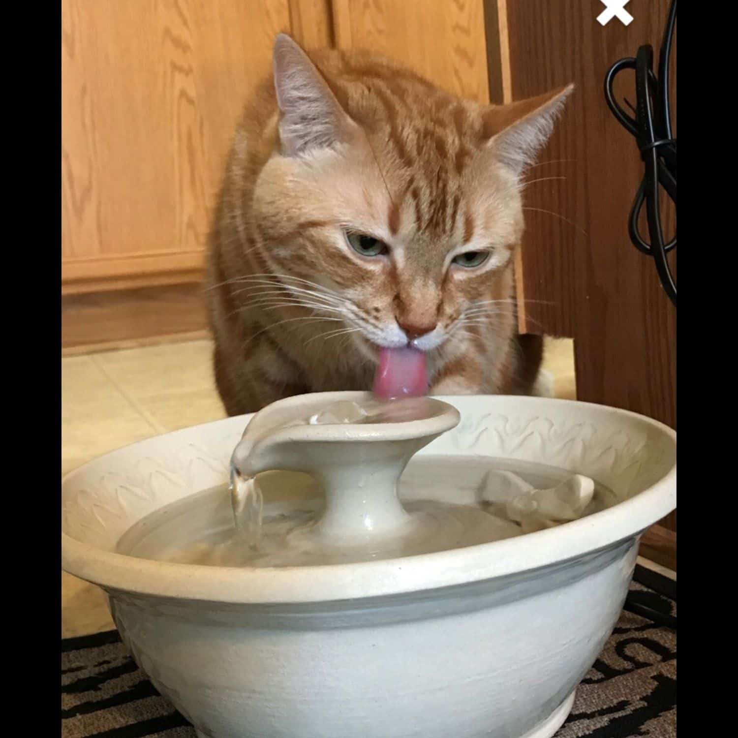 WetWhiskersFountains shared a new photo on Etsy