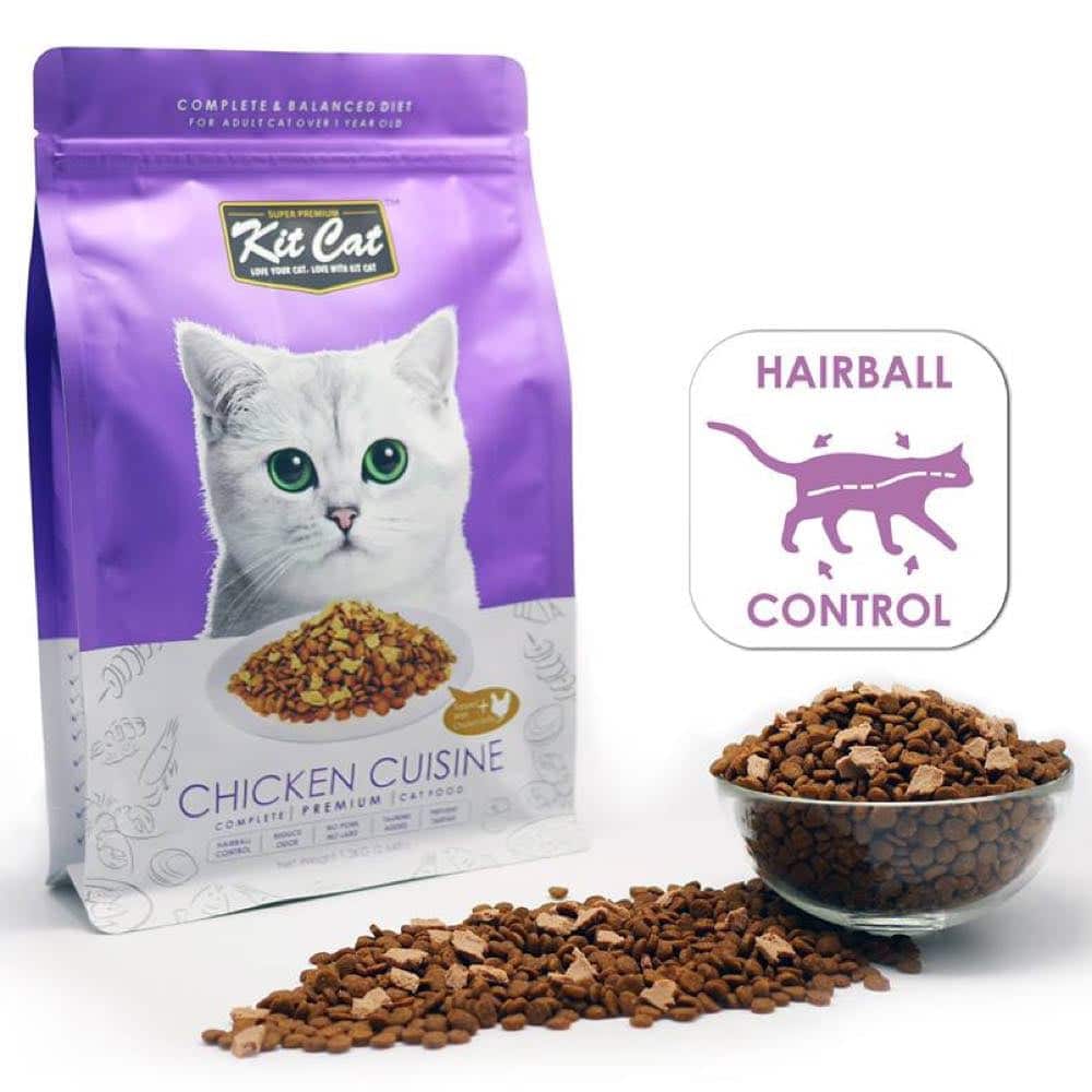 What is The Best Dry Cat Food for Indoor Cats? (Reviews 2020)