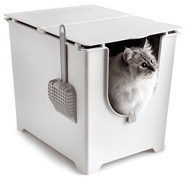 10 Best Cat Litter Boxes  Hacks For Cats