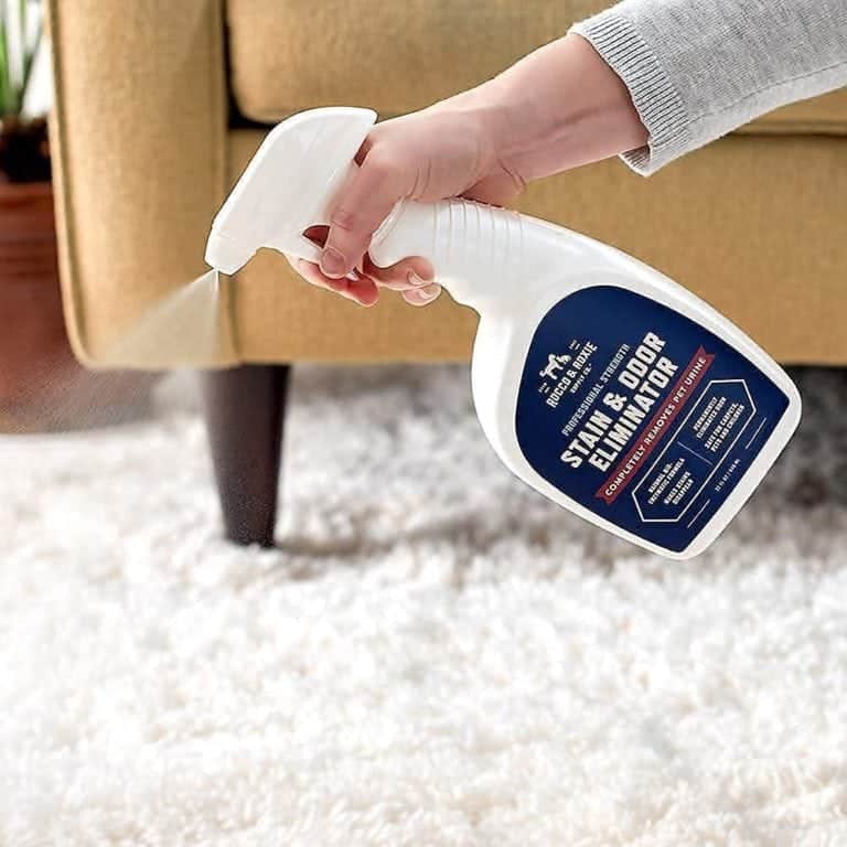 11 Best Carpet Cleaners For Cat Vomit in 2022