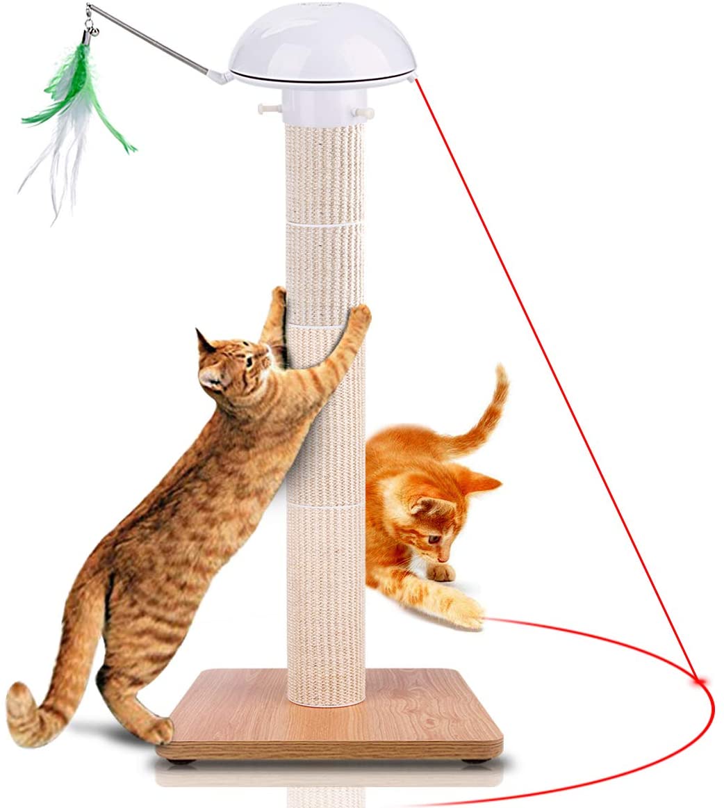 7 Toys for Cats to Play With Alone While You