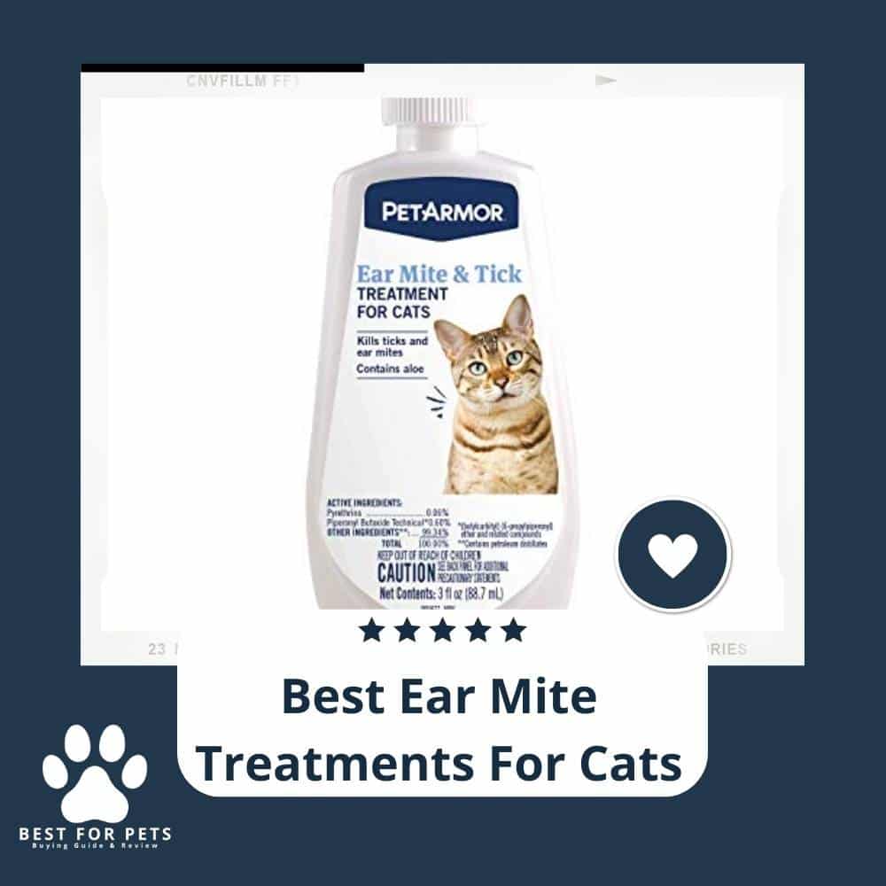 9 Best Ear Mite Treatments For Cats in 2022