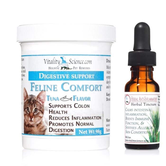 Anti Inflammatory For Cats