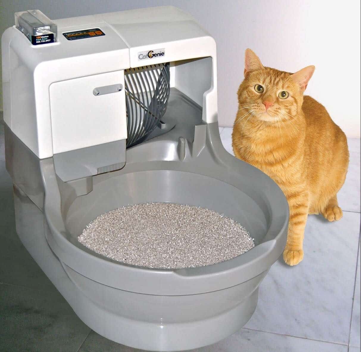 Best Cat Litter Boxes for Multiple Cats