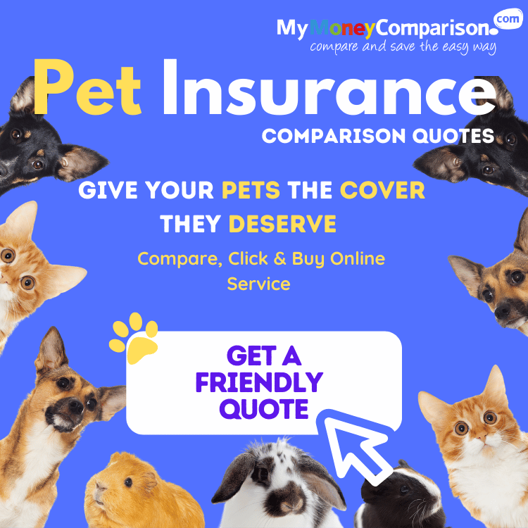 Best Pet Insurance For Cat Uk