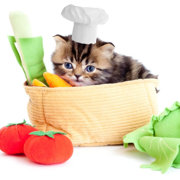 Can Cats Eat Artichokes or Asparagus?