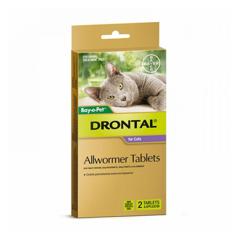 Drontal Allwormer for Cats &  Kittens 4kg x 2 Tablets &  Applicator