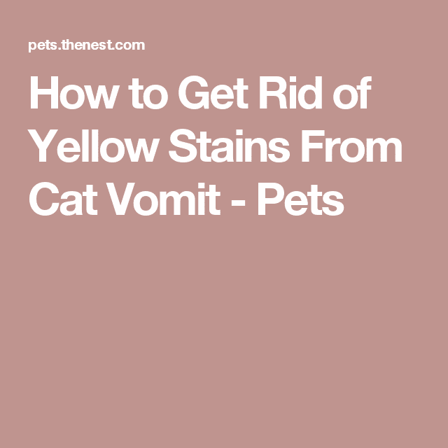 How to Get Rid of Yellow Stains From Cat Vomit