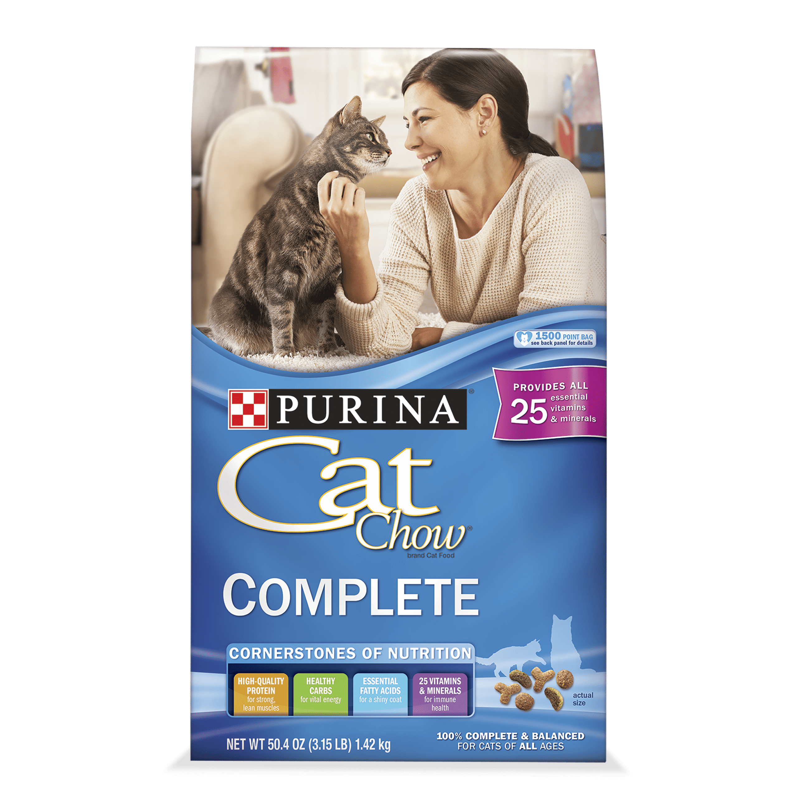 Purina Cat Chow Dry Cat Food, Complete, 3.15 lb. Bag