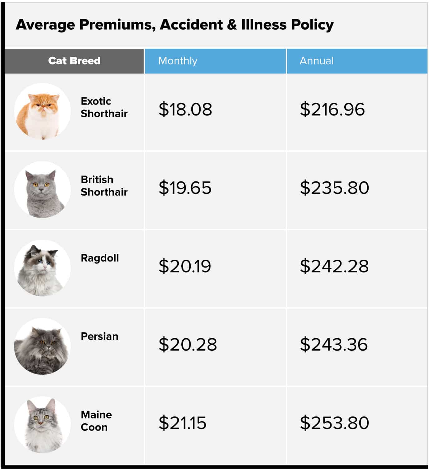 Recommended Pet Insurance For Cats : Cat Insurance Plans From ...