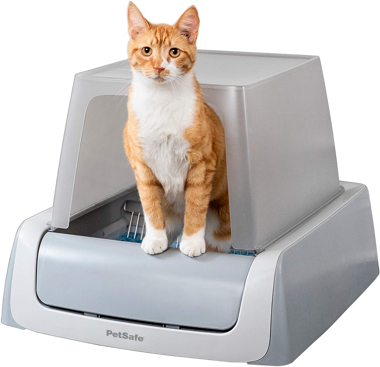 Top 10 Best Self Cleaning Litter Box For Large Cats [Updated December ...