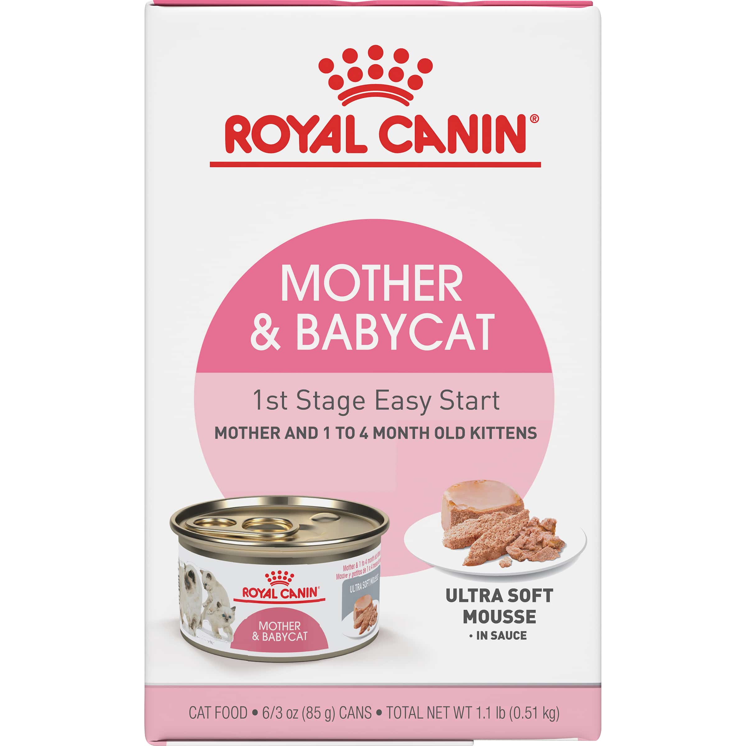 What To Feed A Baby Cat Without Mother