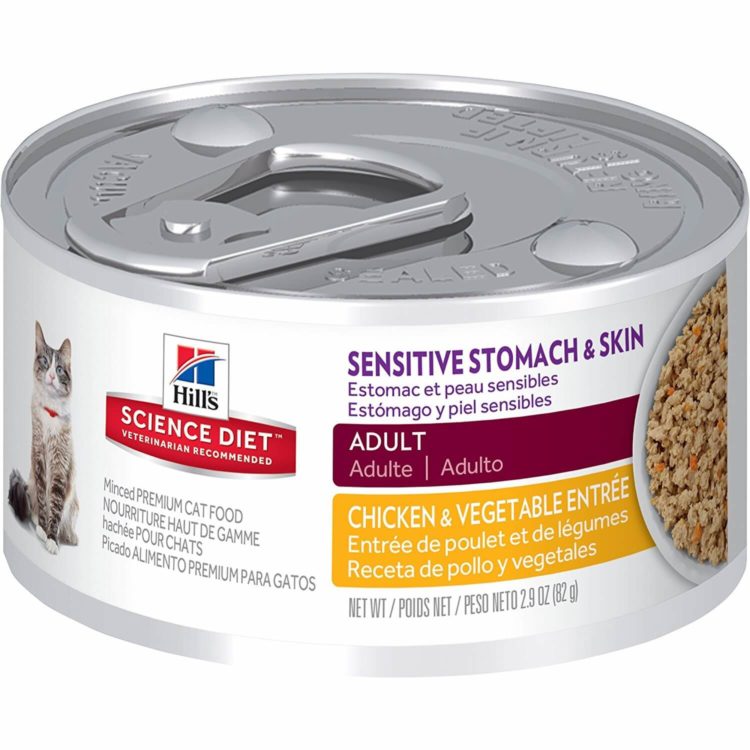 7 Best Cat Food For Sensitive Stomachs 2022