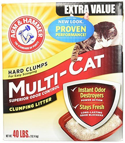 arm and hammer essentials cat litter safe for kittens