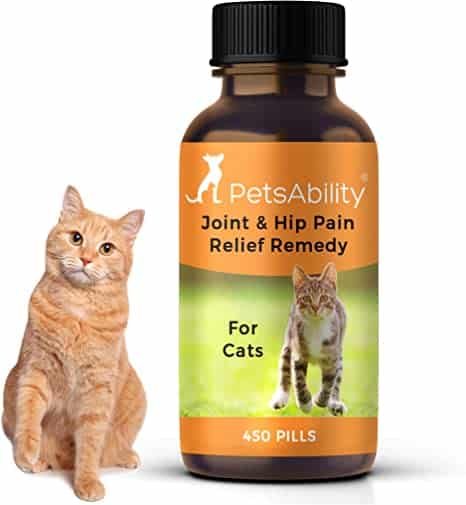 Arthritis In Cats Home Remedies