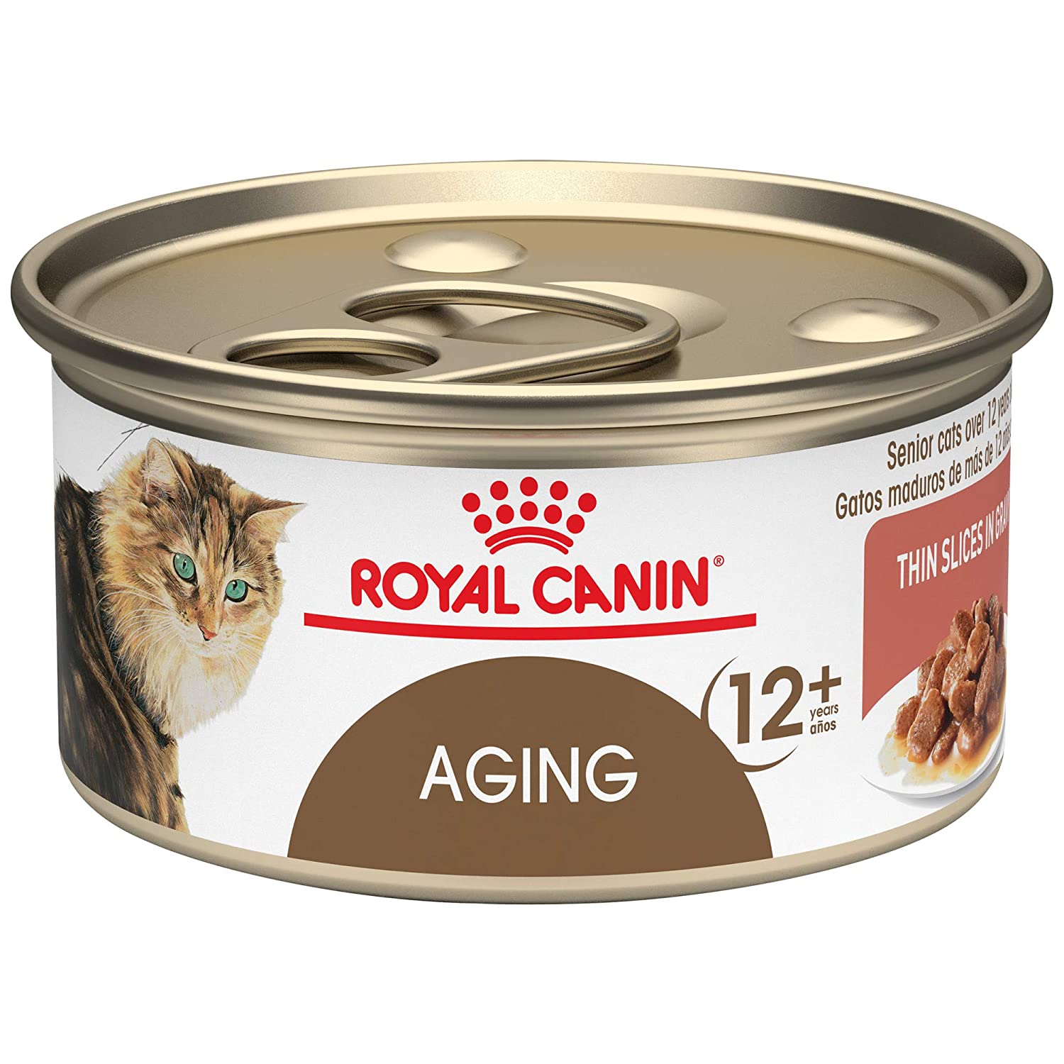Best Cat Food For Older Cats With Bad Teeth of 2020